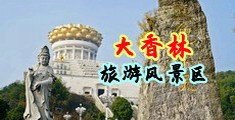 逼屄中国浙江-绍兴大香林旅游风景区